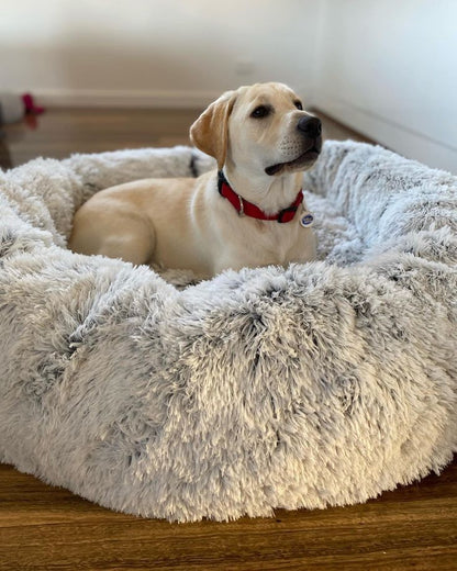 Soft Calming Bed for Pets