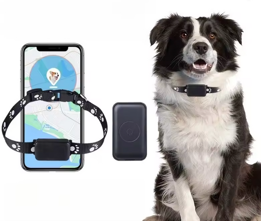 Pet GPS Tracker