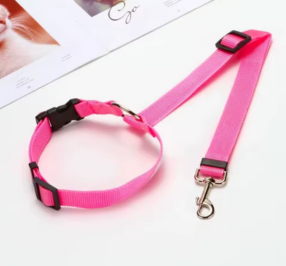 Pet Car Seat Belt & Leash