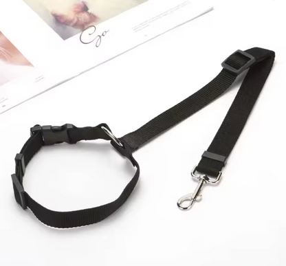 Pet Car Seat Belt & Leash
