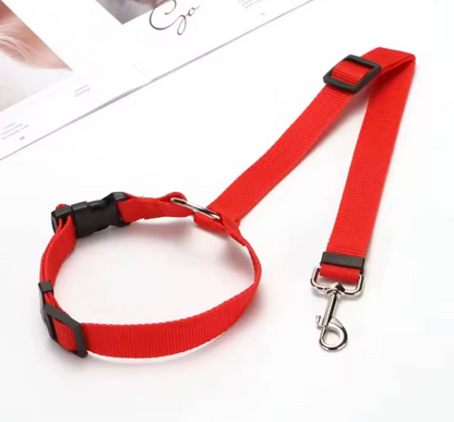 Pet Car Seat Belt & Leash