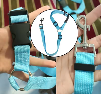 Pet Car Seat Belt & Leash