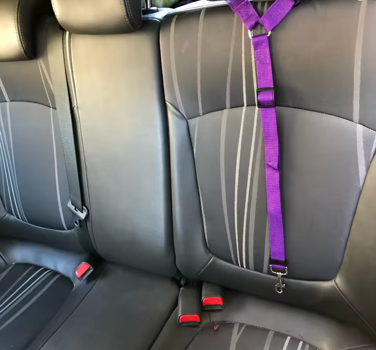 Pet Car Seat Belt & Leash