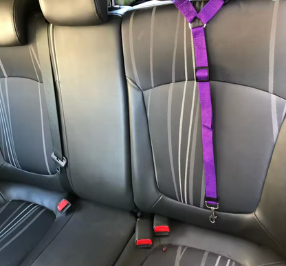 Pet Car Seat Belt & Leash