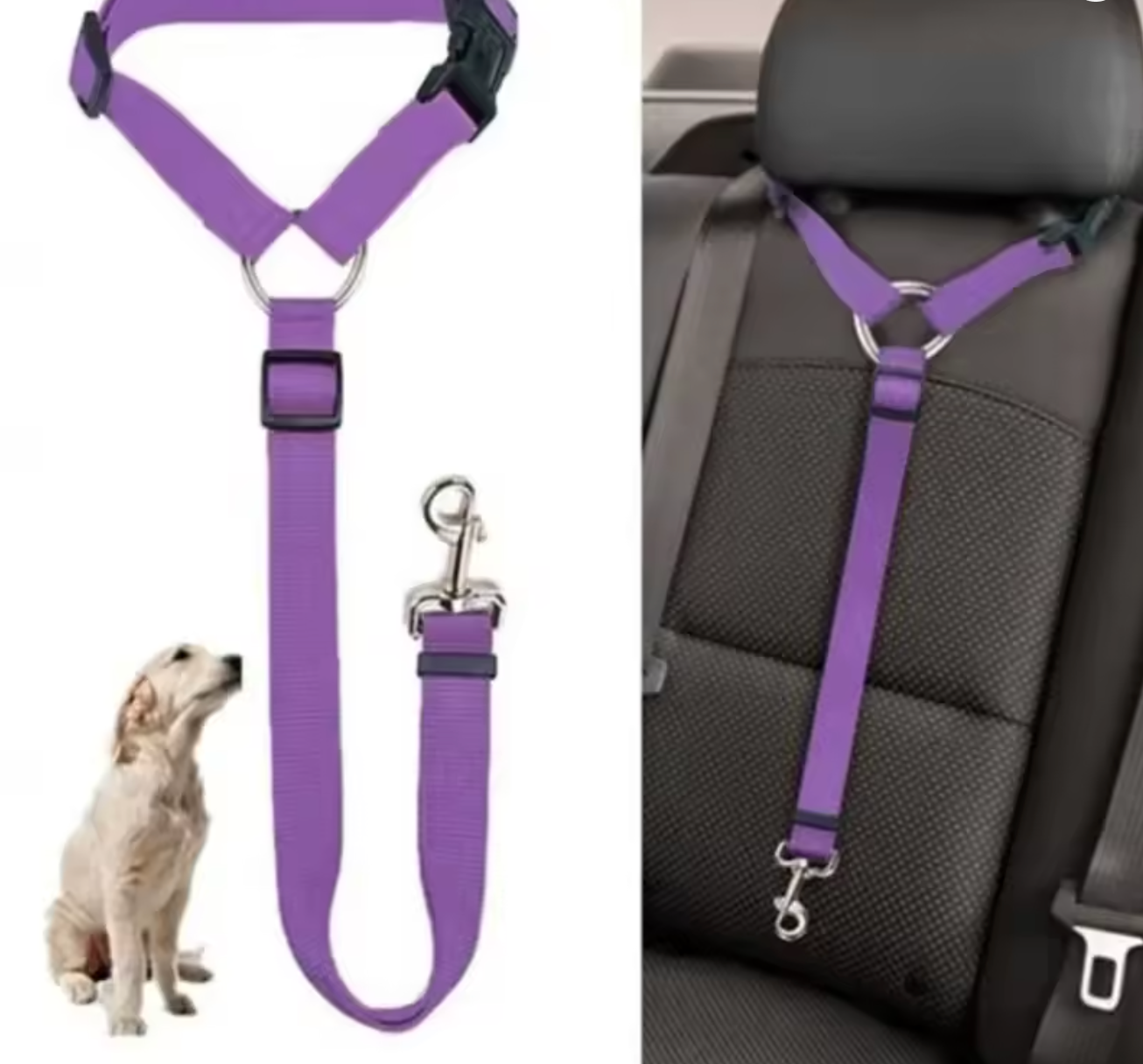 Pet Car Seat Belt & Leash