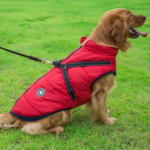 Winter Waterproof Dog Jacket with Built-In Harness